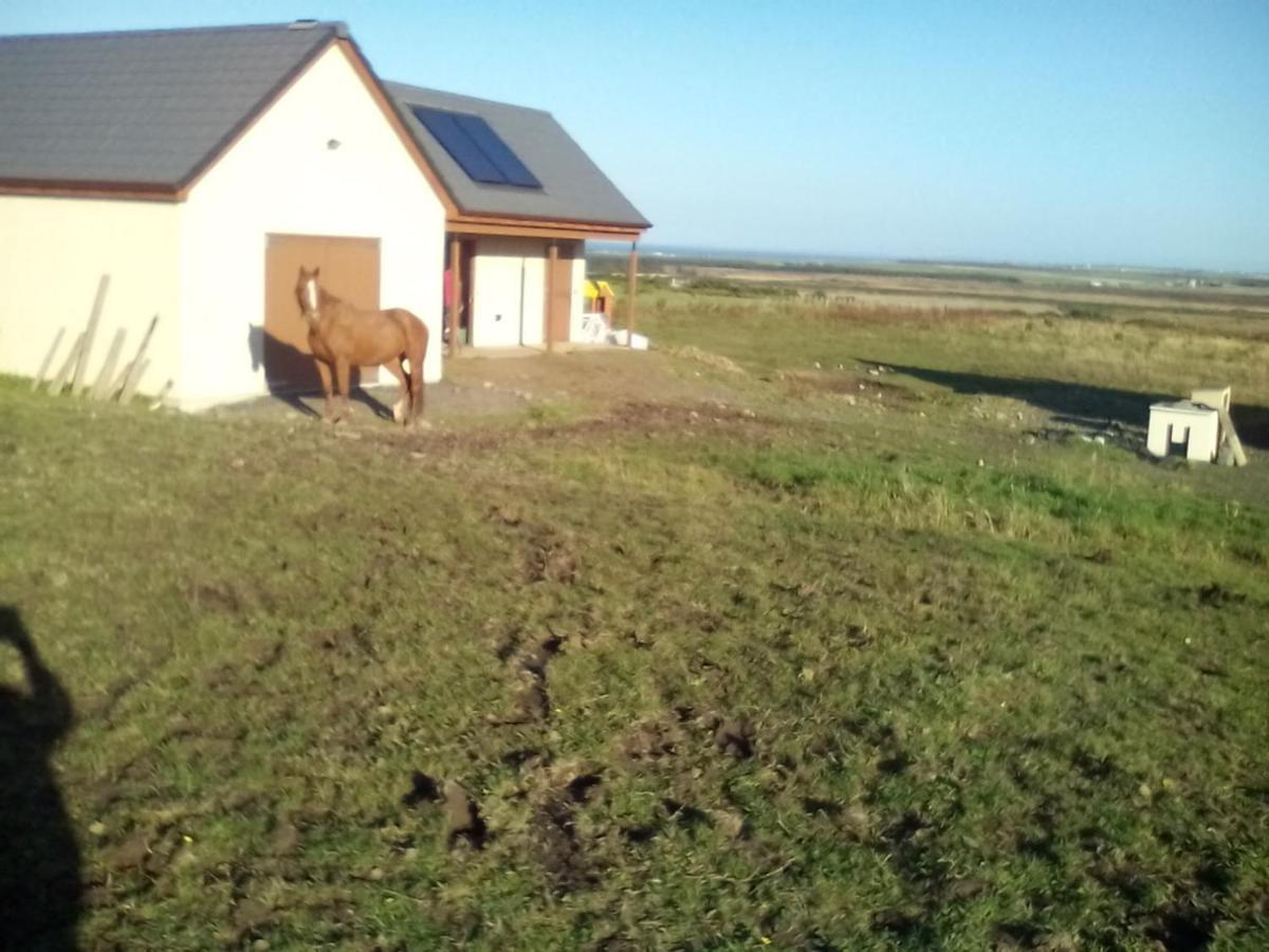 Bed and Breakfast April House Barrock Экстерьер фото